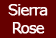 Sierra Rose